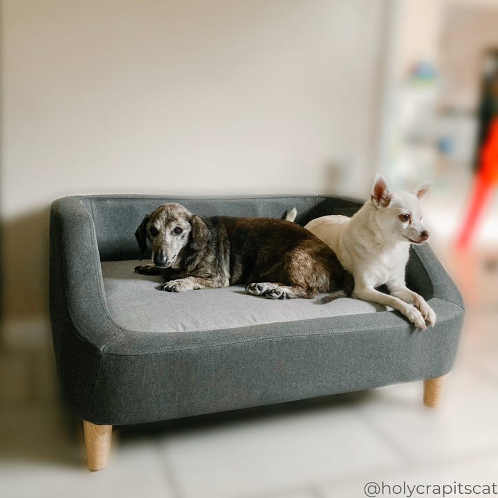 A pair of smaller dogs sitting on the two-toned Bennett Linen Sofa Dog Bed