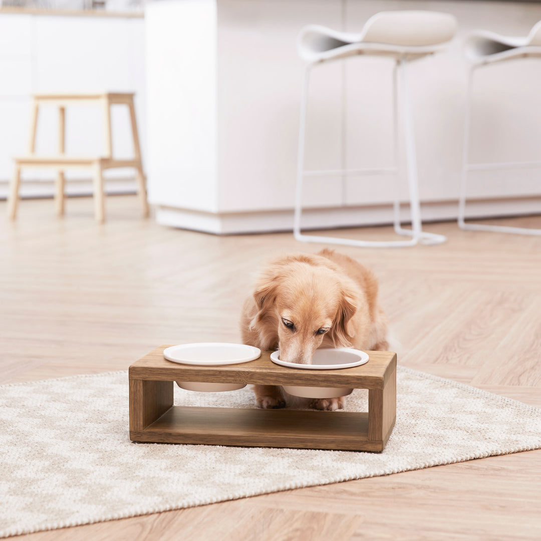 A small tan dog eating out of one of the ceramic bowls in the  Billie Small Elevated Wood Pet Feeder.